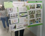 img (6)
